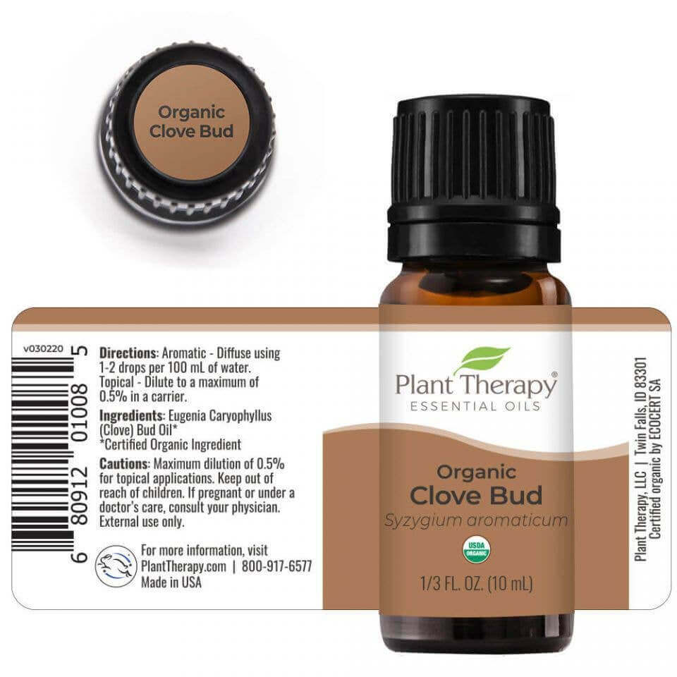 Essential Oil - Clove Plant Therapy