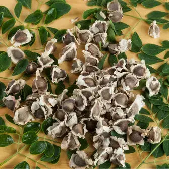 Moringa seeds and leaves on a wooden surface, showcasing their natural and organic characteristics.