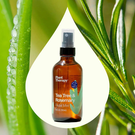 Tea Tree & Rosemary Facial Mist 4 oz Plant Therapy