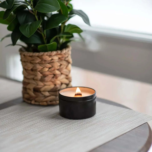 Black travel candle with burning wood wick and plant sitting behind it.