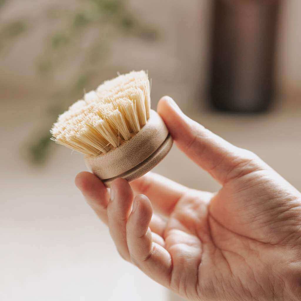 Dish Brush Head - Soft