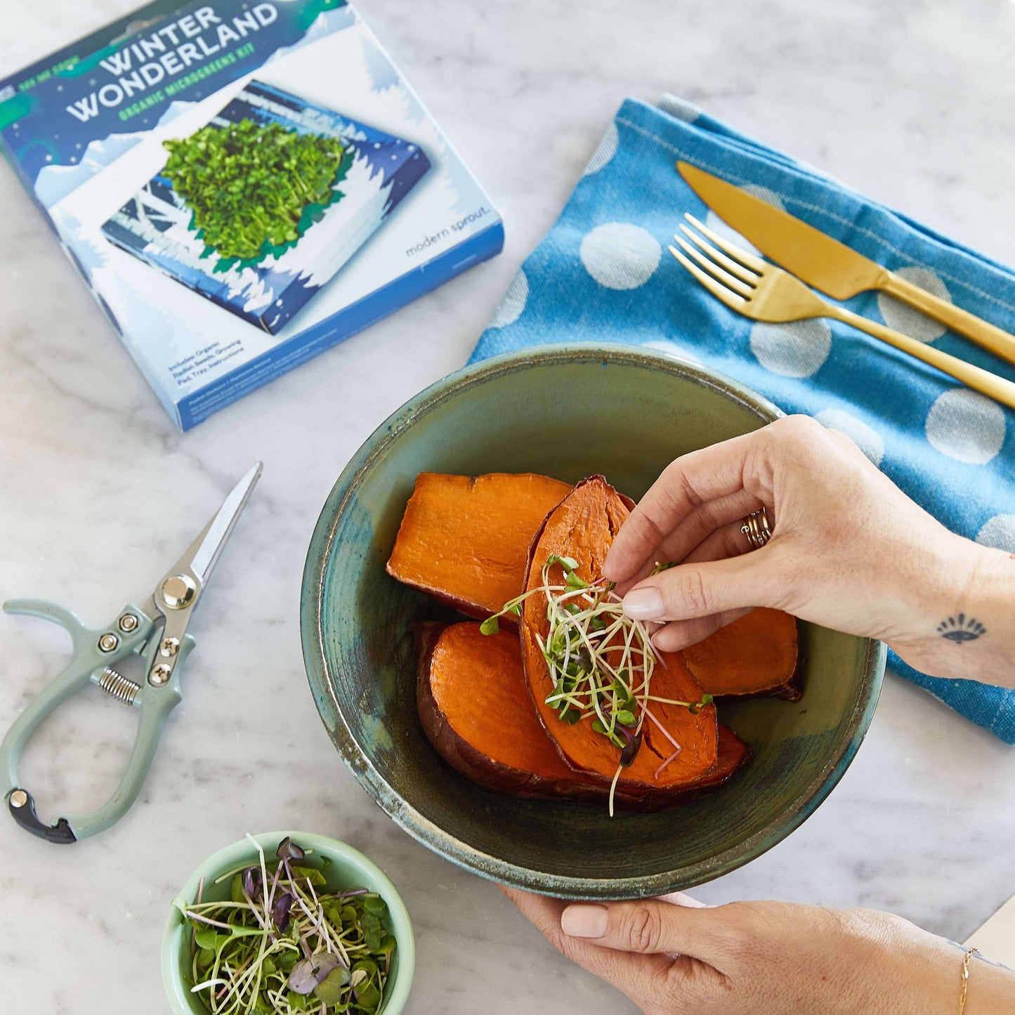 Winter Wonderland Microgreens Kit