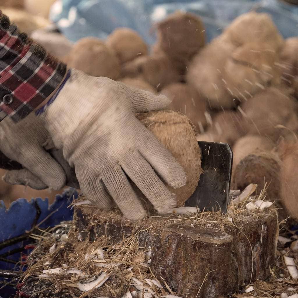 Coconut Bowl & Spoon Jungle Culture