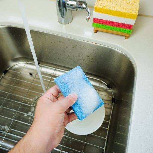 Compostable Cellulose Sponge : Green