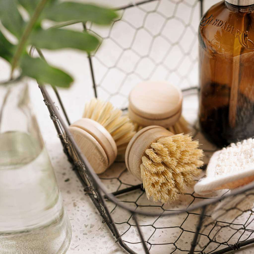 Dish Brush Head - Soft