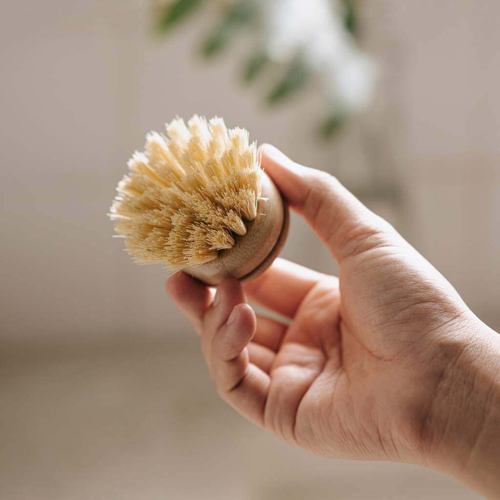 Dish Brush Head - Soft