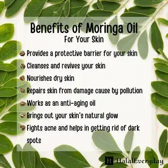 Benefits of Moringa Oil for skin: cleanses, nourishes, fights dark spots, anti-aging, and more.