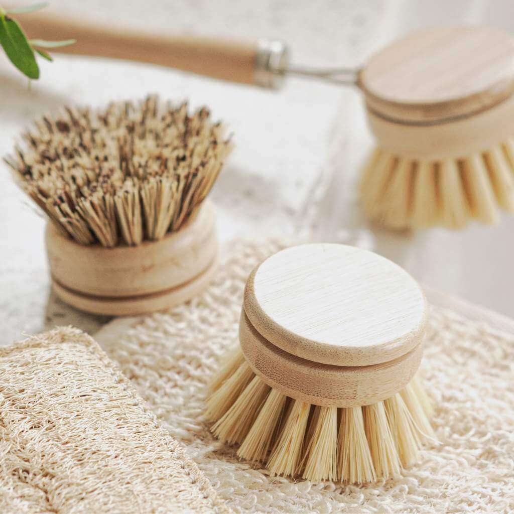 Dish Brush Head - Soft