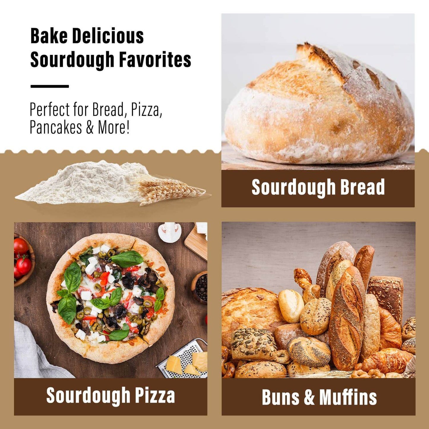 Non-GMO, Freeze Dried, Organic Sourdough Starter. 12 gr