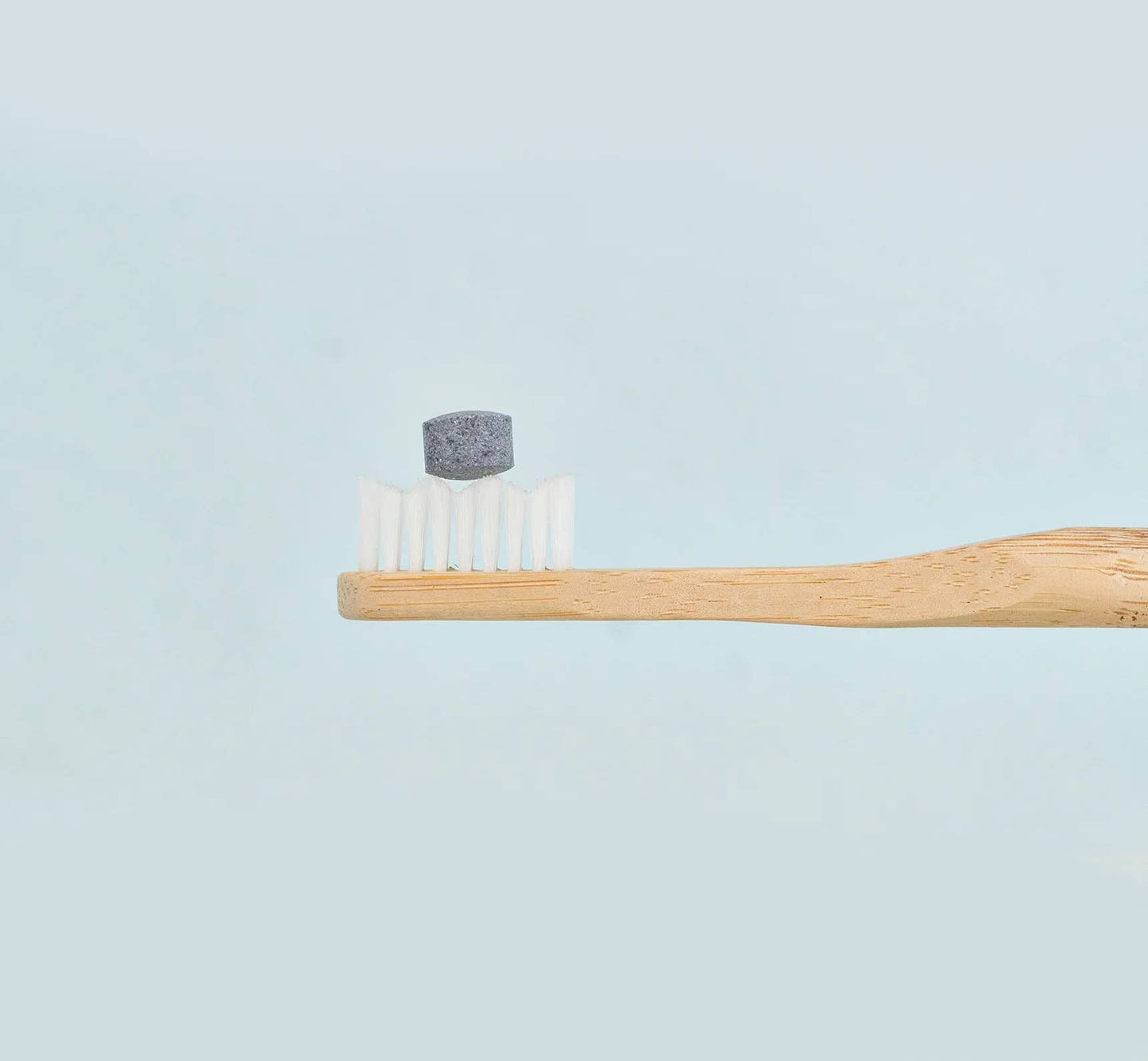 Toothpaste Tablets - Charcoal Mint