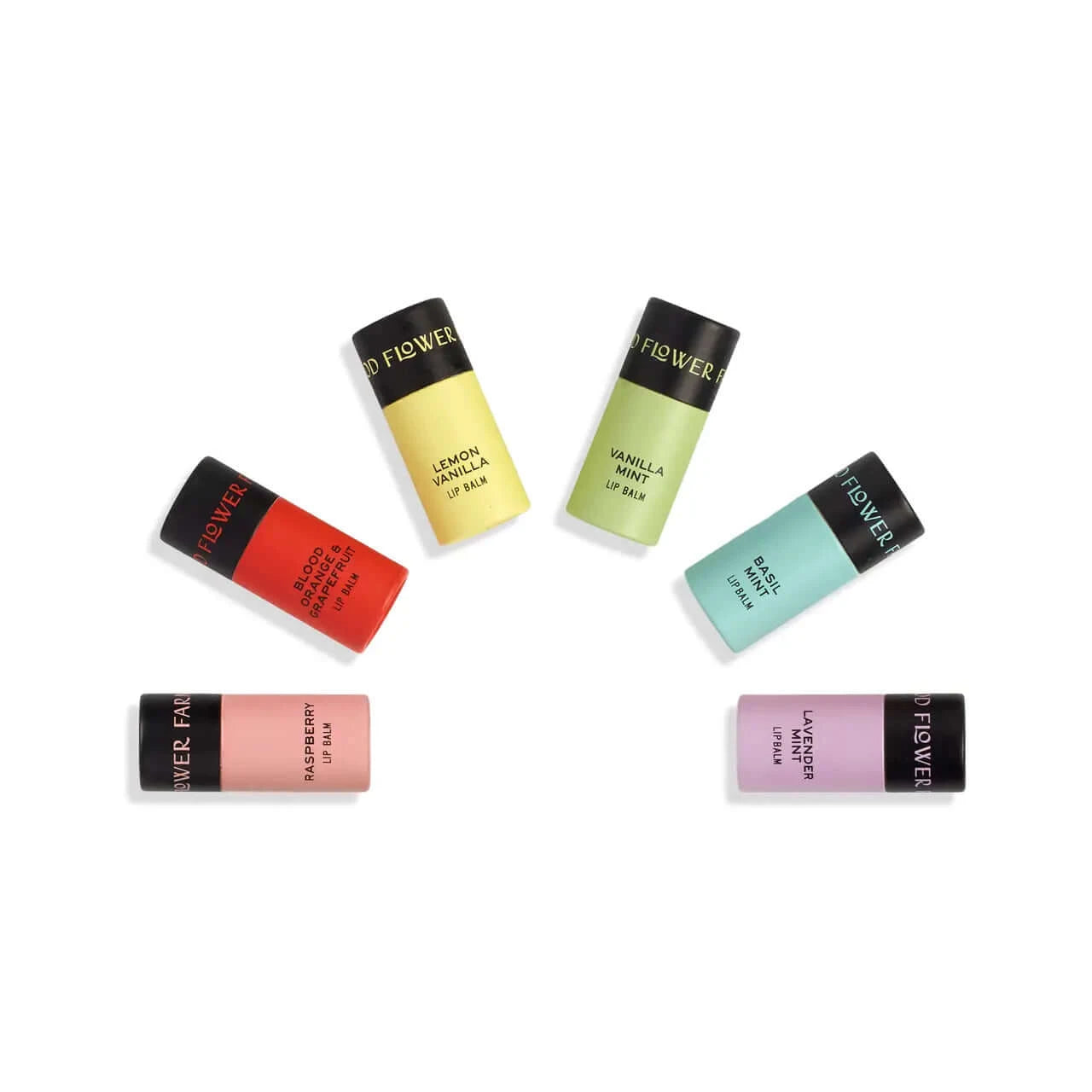 5 organic lip balms in biodegradable containers in different colors and flavors