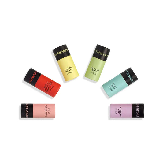 5 organic lip balms in biodegradable containers in different colors and flavors