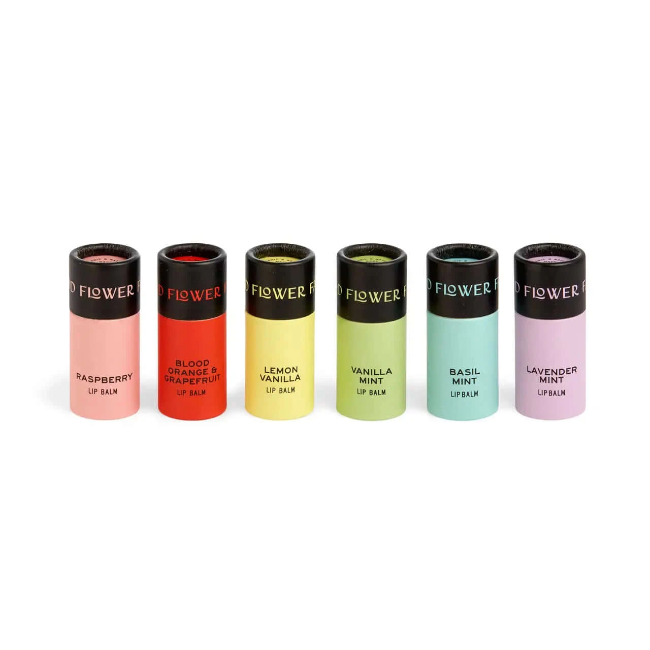 different flavored, organic lips balms in biodegradable tubes in a row 