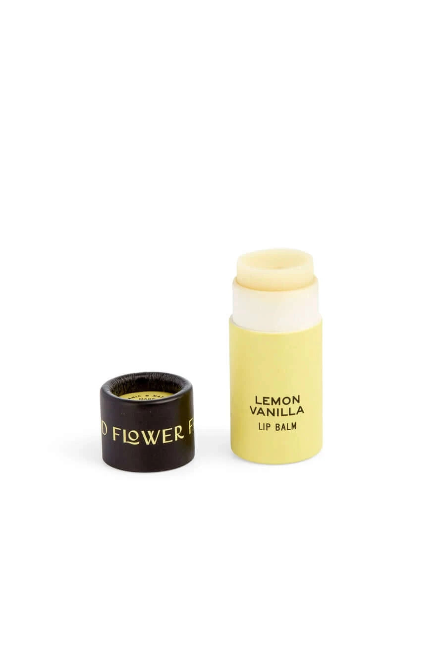 organic lip balm in a biodegradable container in lemon vanilla flavor