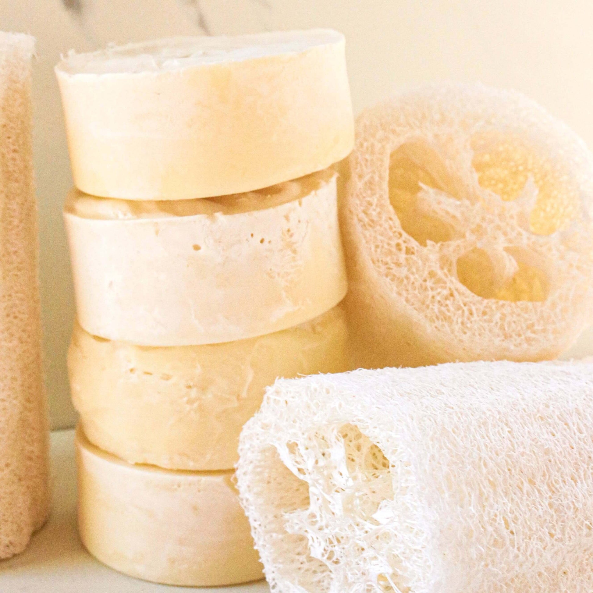 Soap - Loofah Dandelion Naturals