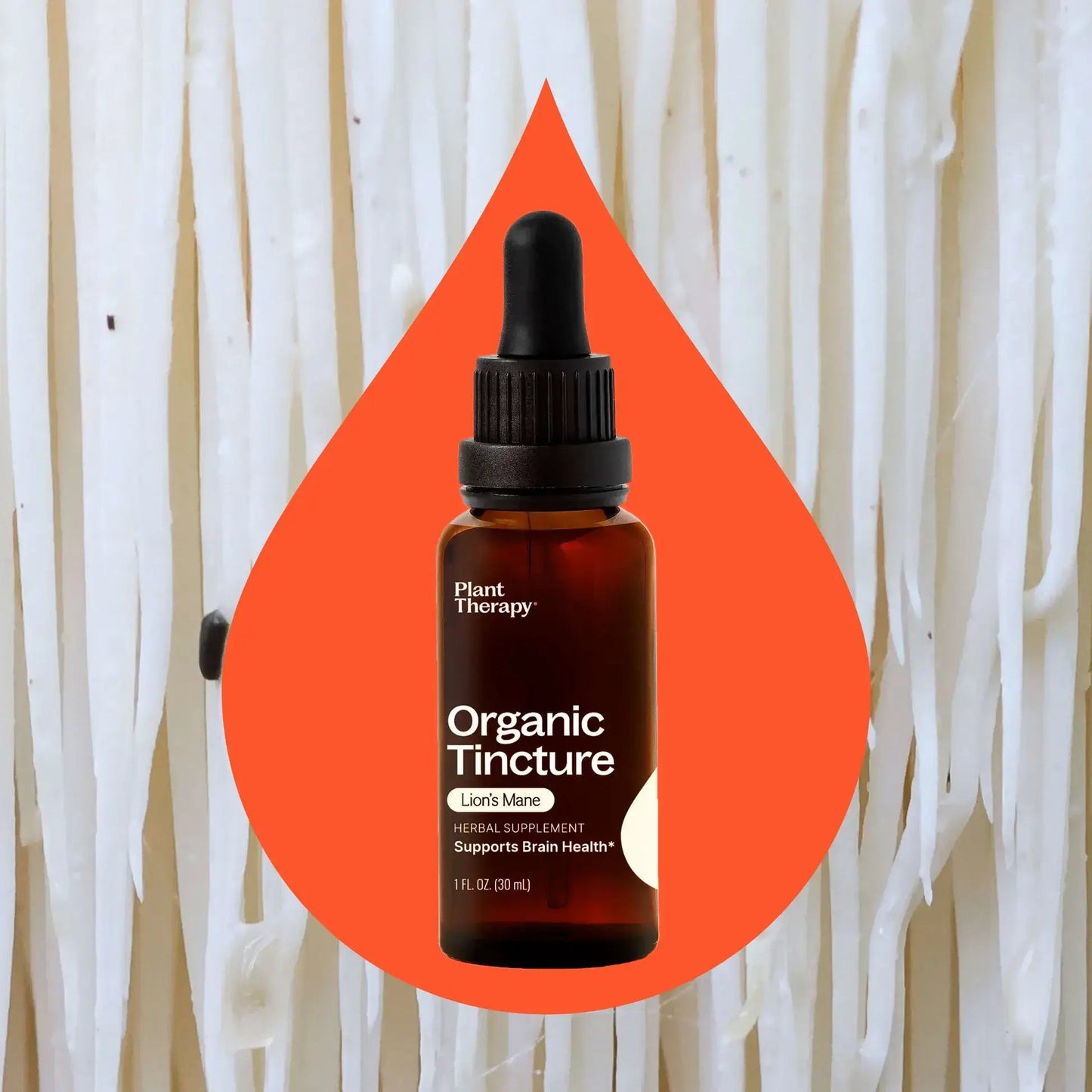 Tincture - Lion's Mane Plant Therapy