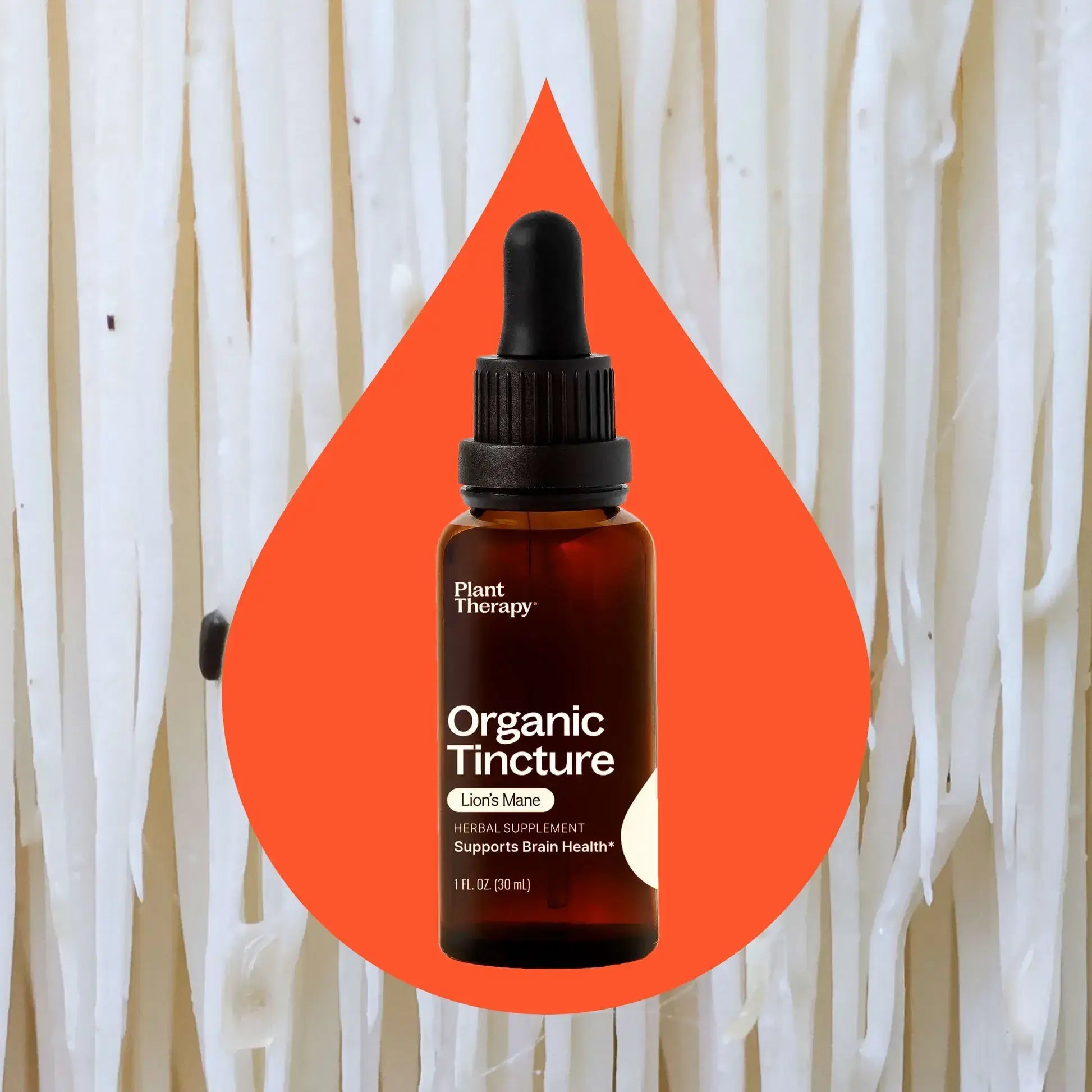 Tincture - Lion's Mane Plant Therapy
