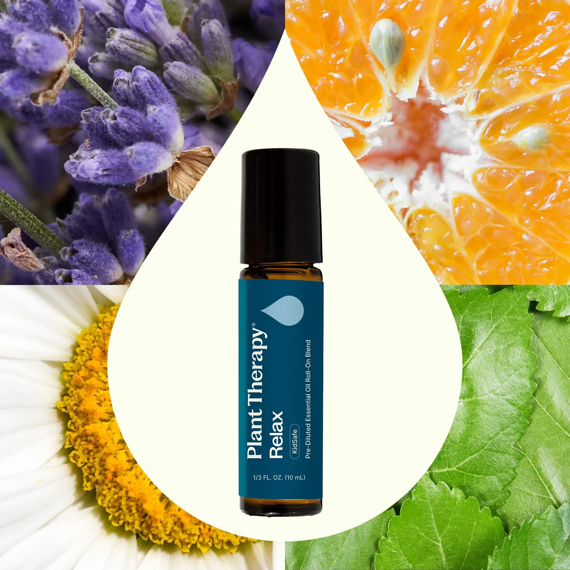 Relax Essential Oil Blend Roll-On bottle surrounded by lavender, orange, chamomile, and mint leaves.