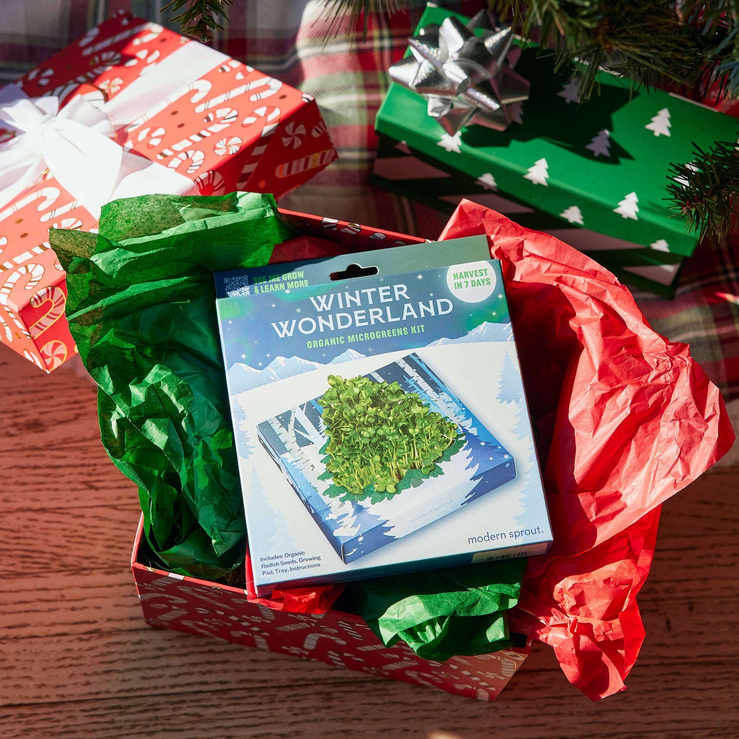 Winter Wonderland Microgreens Kit displayed in a festive gift box surrounded by colorful holiday wrapping.