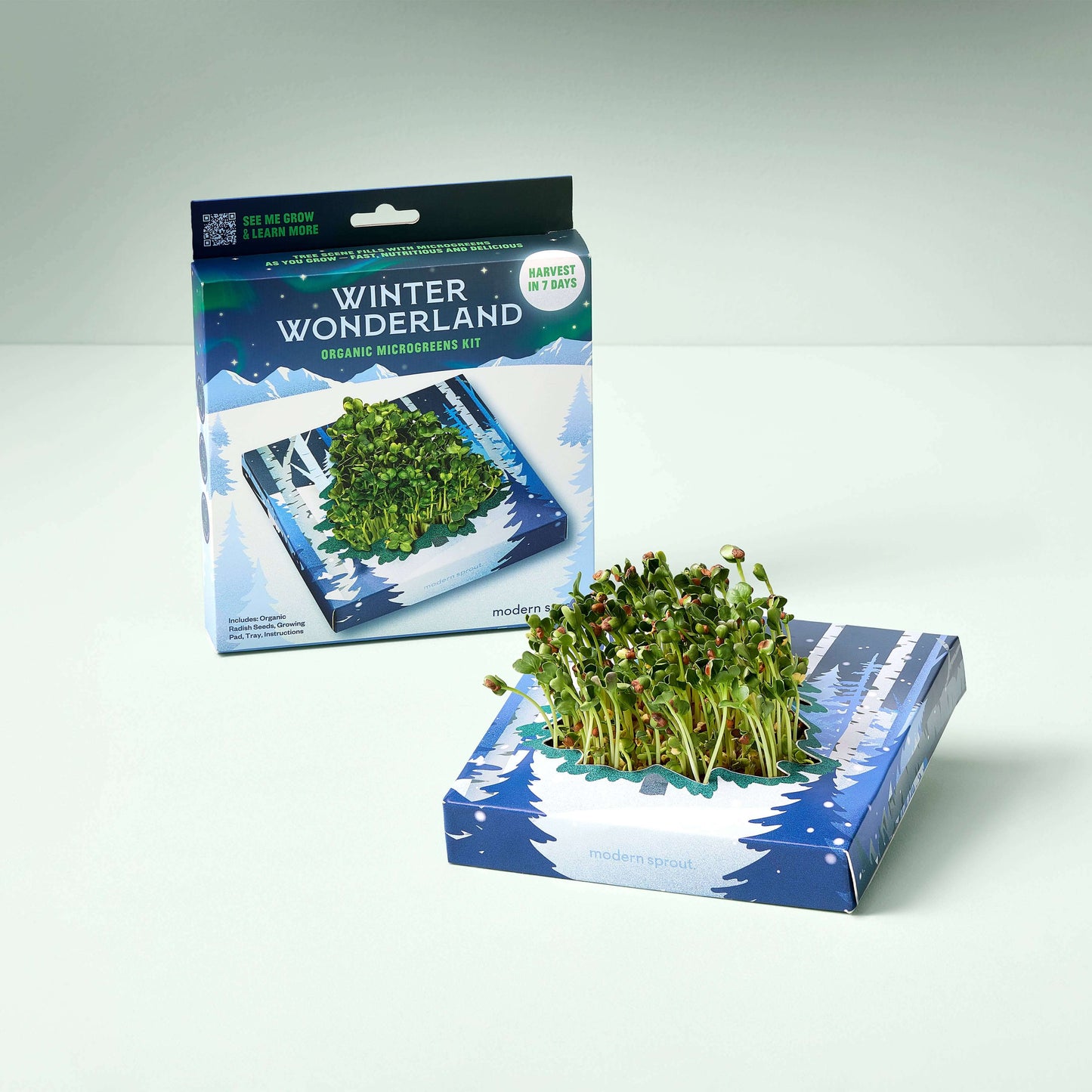 Winter Wonderland Microgreens Kit with vibrant microgreens growing in a festive packaging.