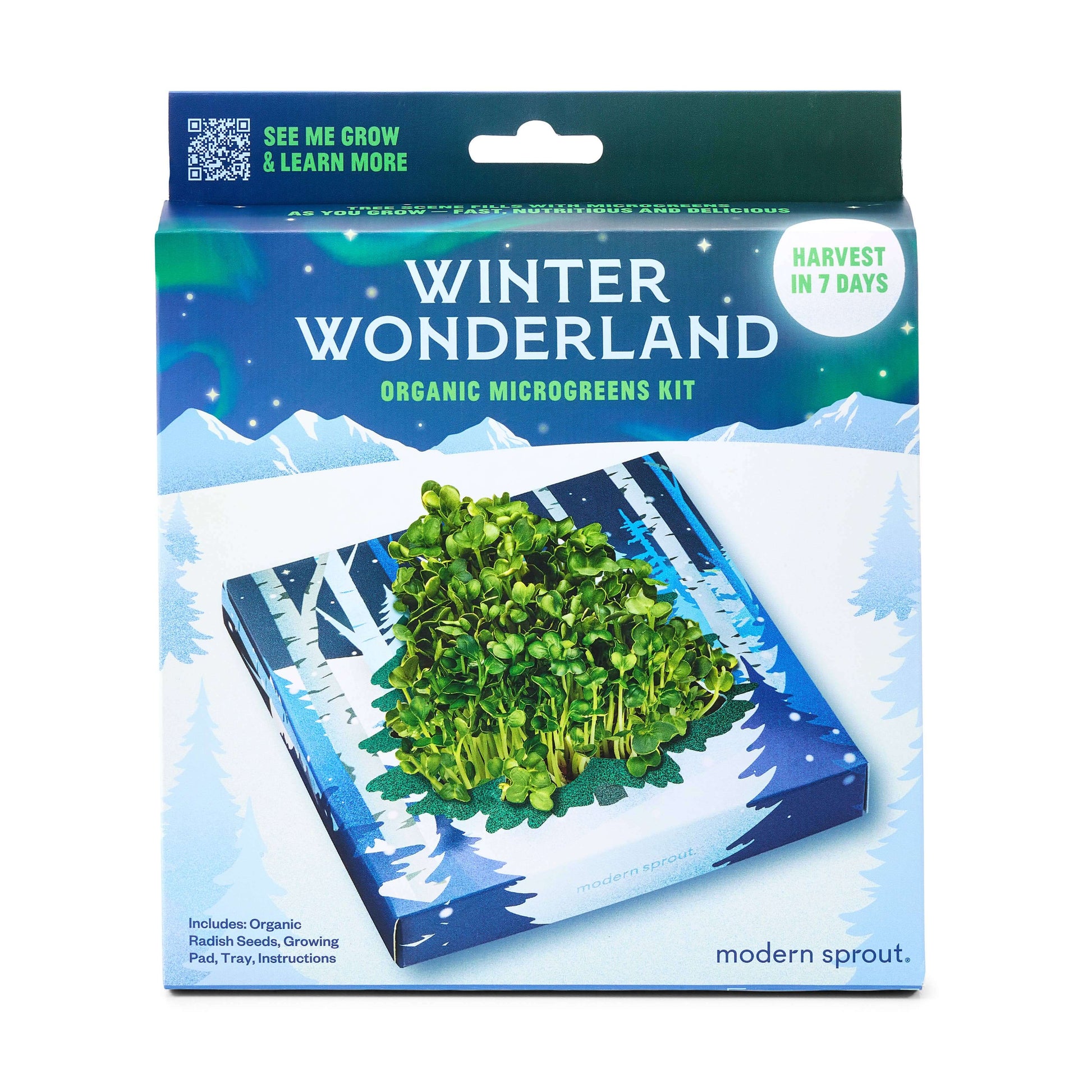 Winter Wonderland Microgreens Kit packaging featuring vibrant microgreens growing inside.