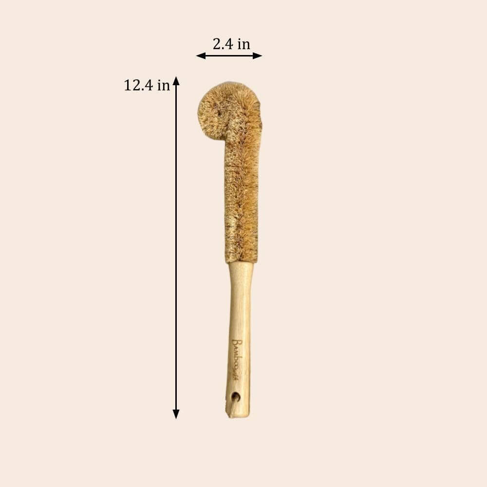XL Natural Bottle Brush | Kitchen Bestseller - Eco-friendly brush dimensions, 12.4 in long, 2.4 in wide.