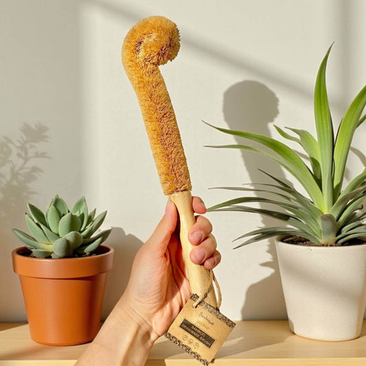 XL Natural Bottle Brush | Kitchen Bestseller in hand, showcasing eco-friendly bristles and bamboo handle.